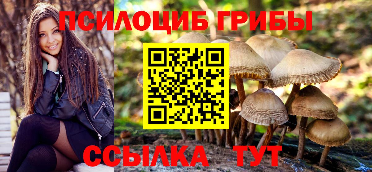 Сальск  Псилоцибиновые грибы GOLDEN TEACHER  Псилоцибиновые грибы мицелий  Вход с VPN 