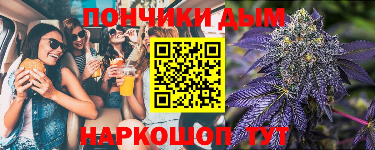 Каннабис планчик Сальск